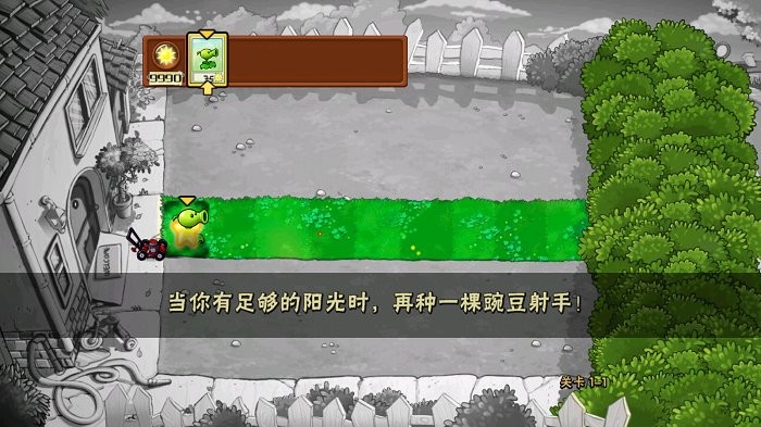 pvz破碎时空(植物大战僵尸)