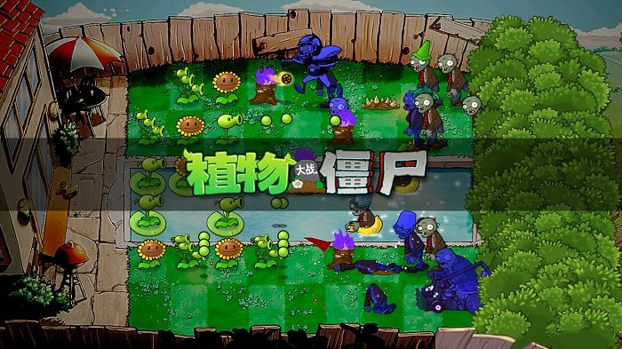 pvz破碎时空(植物大战僵尸)
