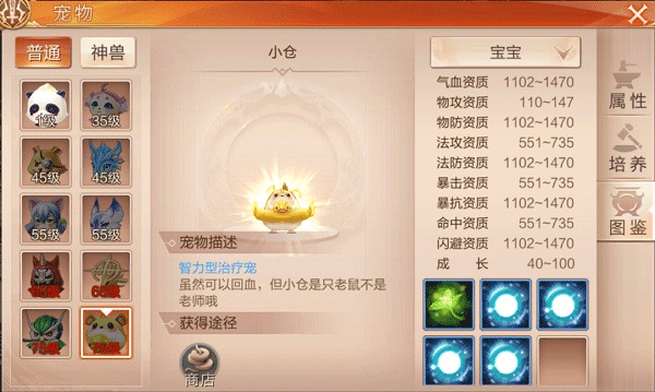 天空纪元宠物怎么玩 天空纪元宠物玩法攻略