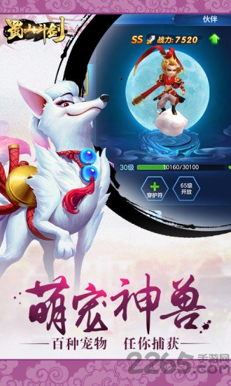 蜀山斗剑果盘版