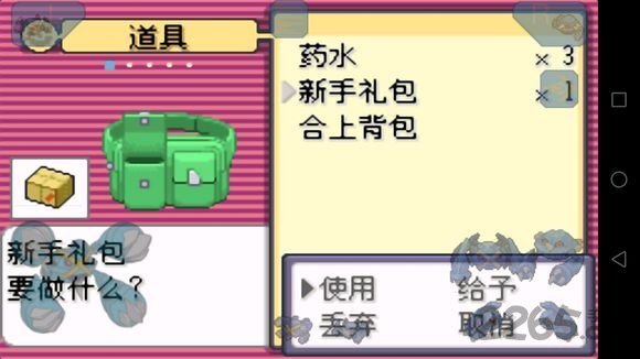 口袋妖怪刽耀之影永久超进化版