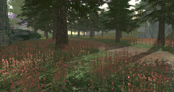 我穿越到灵界游戏