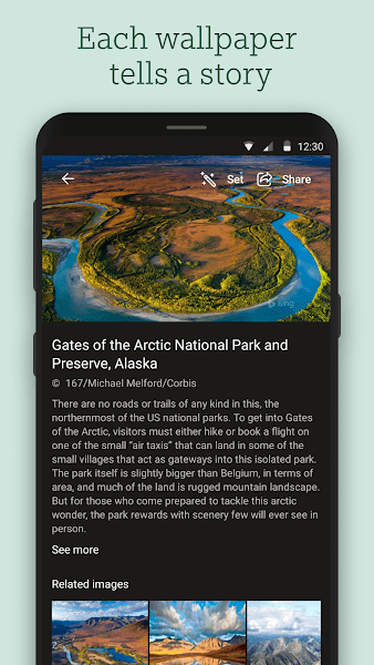 微软壁纸官方版(Wallpapers)