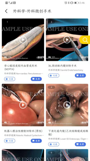 医维度人体解剖软件 医维度官方版下载
