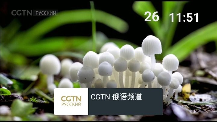 我的电视0版最新版