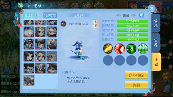 《天书奇谈》宠物系统如何升级 《天书奇谈》宠物系统攻略