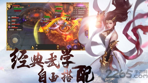 飞弹大侠内购破解版