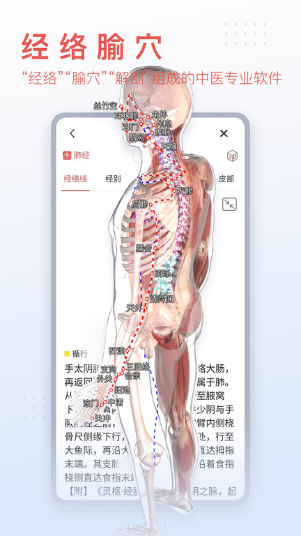 人体解剖3d软件app(改名口袋人体解剖)