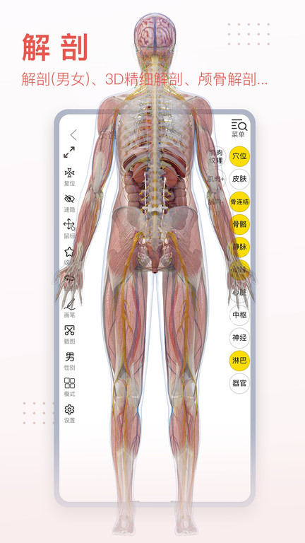 老版安卓3dbody 3dbody解剖旧版下载