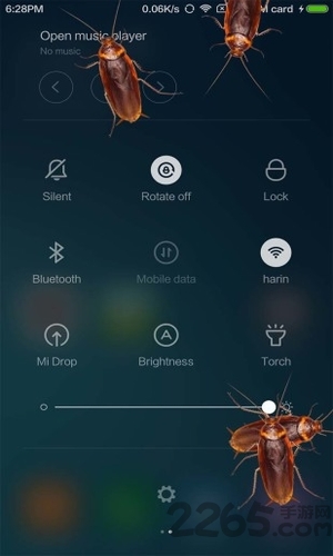 蟑螂恶作剧软件