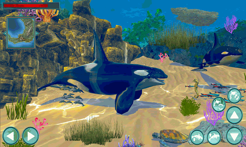 鲸鱼生存大作战游戏