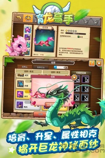 育龙高手腾讯版
