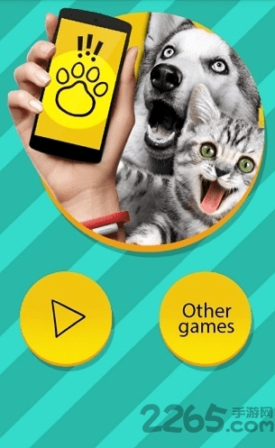 长须猫app 长须猫软件下载