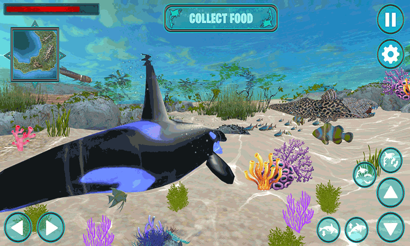 鲸鱼生存大作战游戏