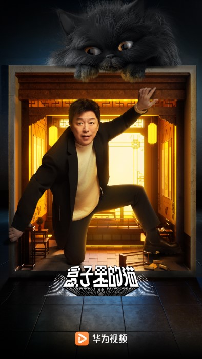 华为视频官方版下载