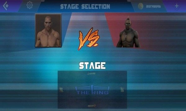 拳击手新格斗游戏