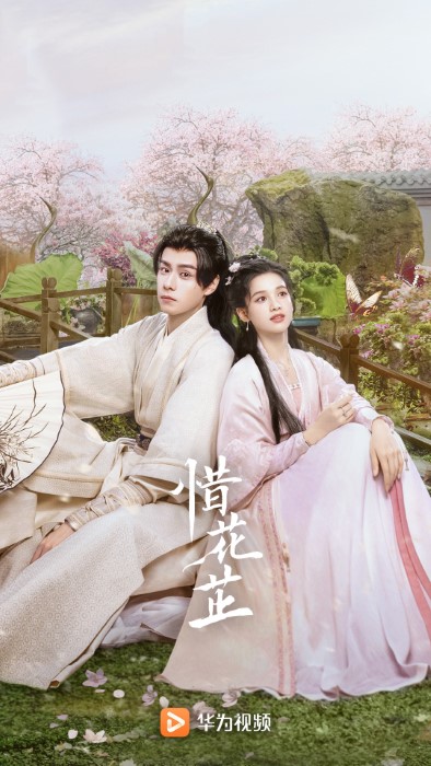 华为视频app官方