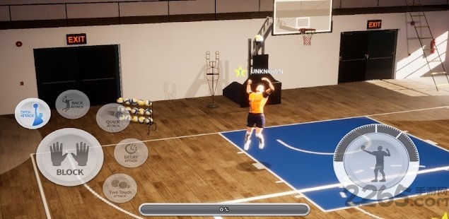 真实排球手游 真实排球最新版下载