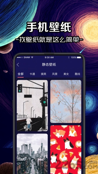 换图标icon官方版