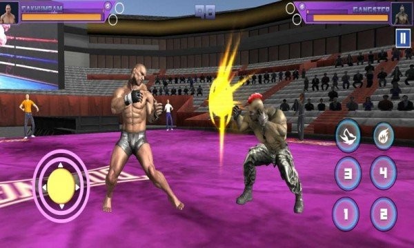 拳击手新格斗游戏