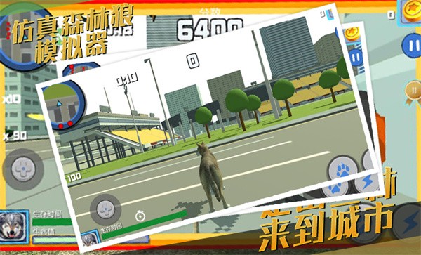 仿真森林狼模拟器游戏下载