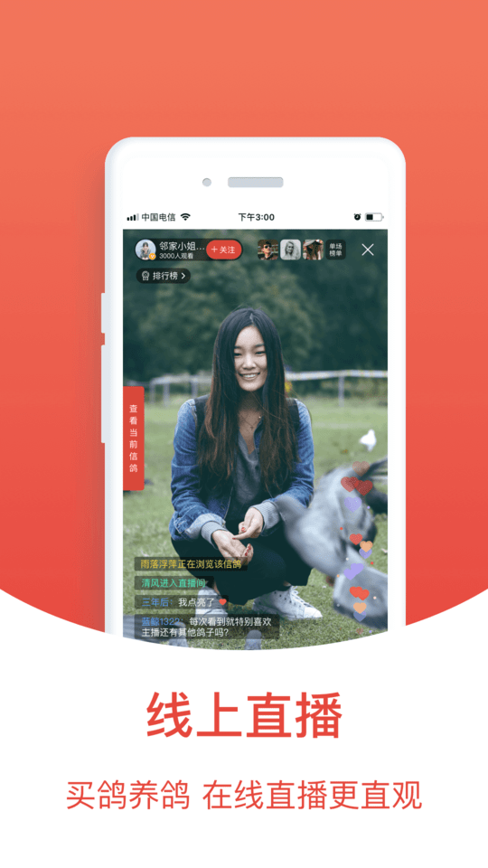 赛鸽头条搜鸽天下2025最新版