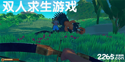 双人求生游戏