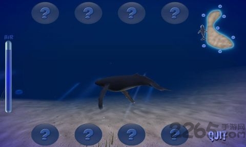 虚拟座头鲸手机游戏
