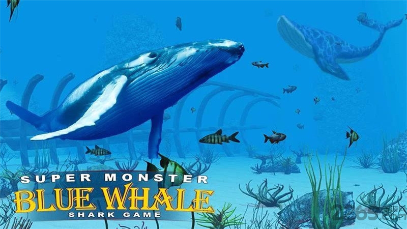 超级怪物蓝鲸鲨鱼游戏