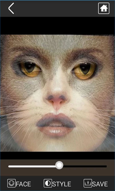 恶搞变脸大咖app下载