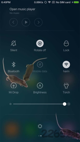 老鼠恶作剧官方免费版