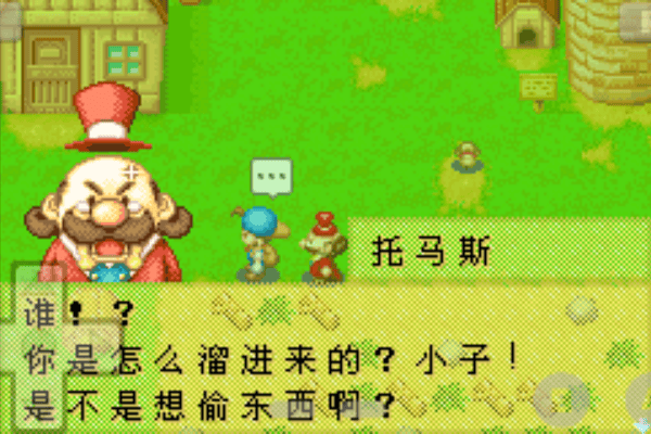 牧场物语女孩版