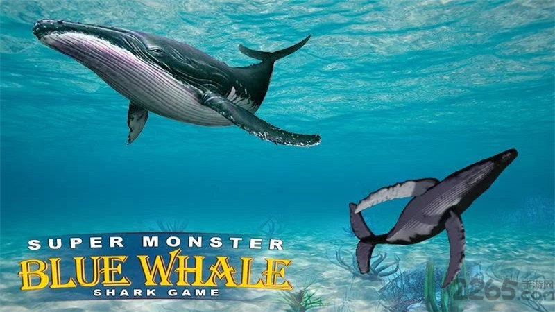 超级怪物蓝鲸鲨鱼游戏