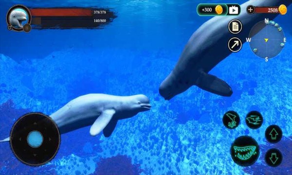 白鲸模拟器游戏(the beluga whale)