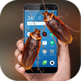 蟑螂恶作剧软件