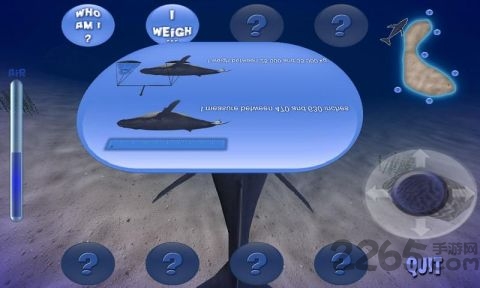虚拟座头鲸手机游戏