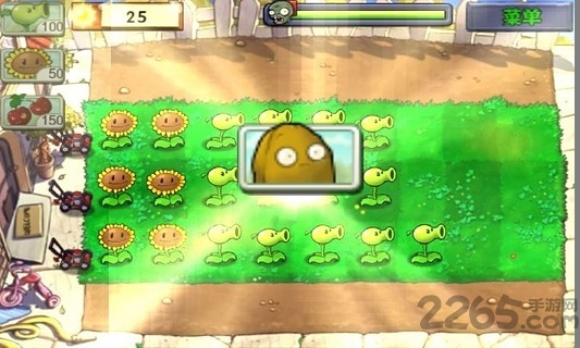 植物小战僵尸2无限版