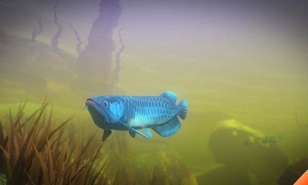 海底大猎杀2021游戏