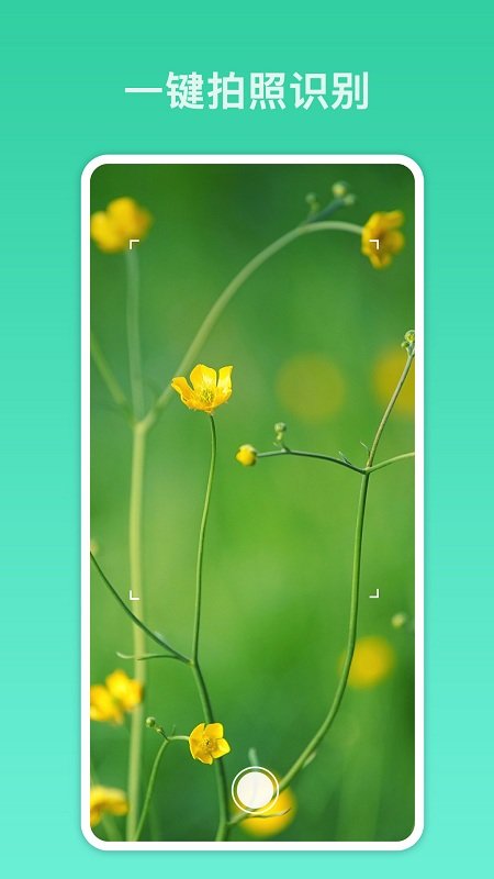 万能识别软件 万能识别APP下载