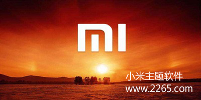 小米主题