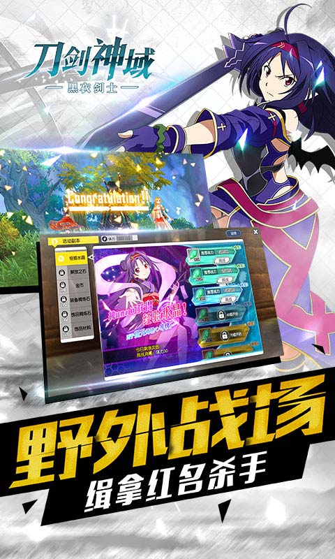 刀剑神域黑衣剑士应用宝版