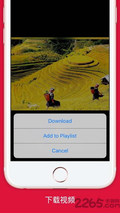 flash智能播放器最新中文版