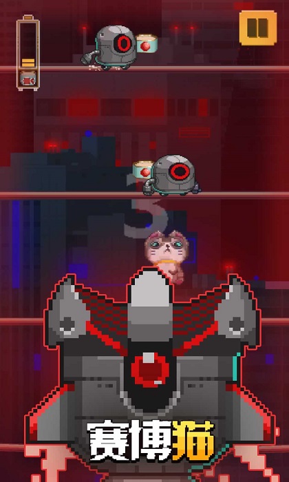 赛博猫游戏