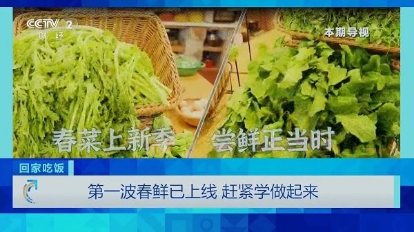 v6直播2025最新版