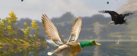 沙漠鸟狙击手游戏