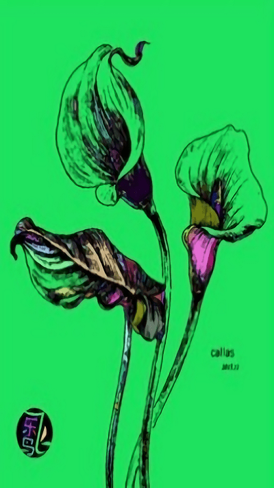 植物填色画画最新版