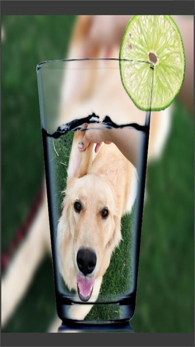 趣拍玩图照相机最新版