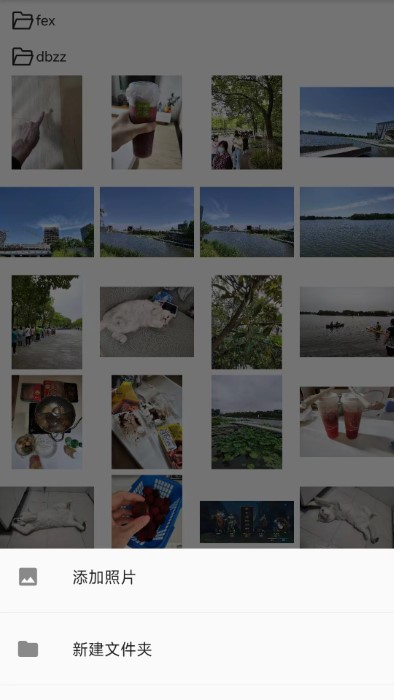 文件守卫官方版