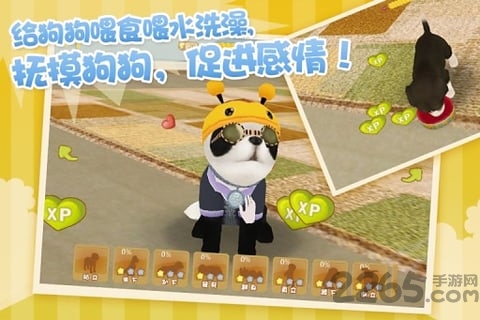 心动小狗官方版