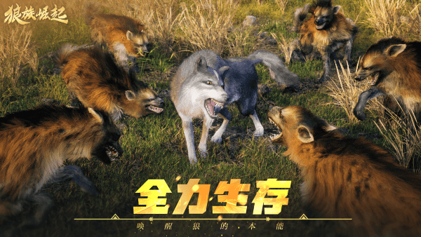 狼族崛起手游官方版(Wolf Game)